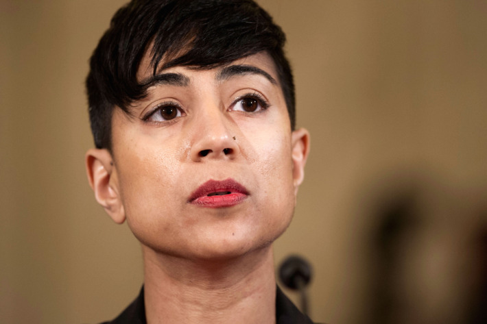 Bisexual Sexual Assault Survivor Amita Swadhin Tesified Against Jeff Sessions