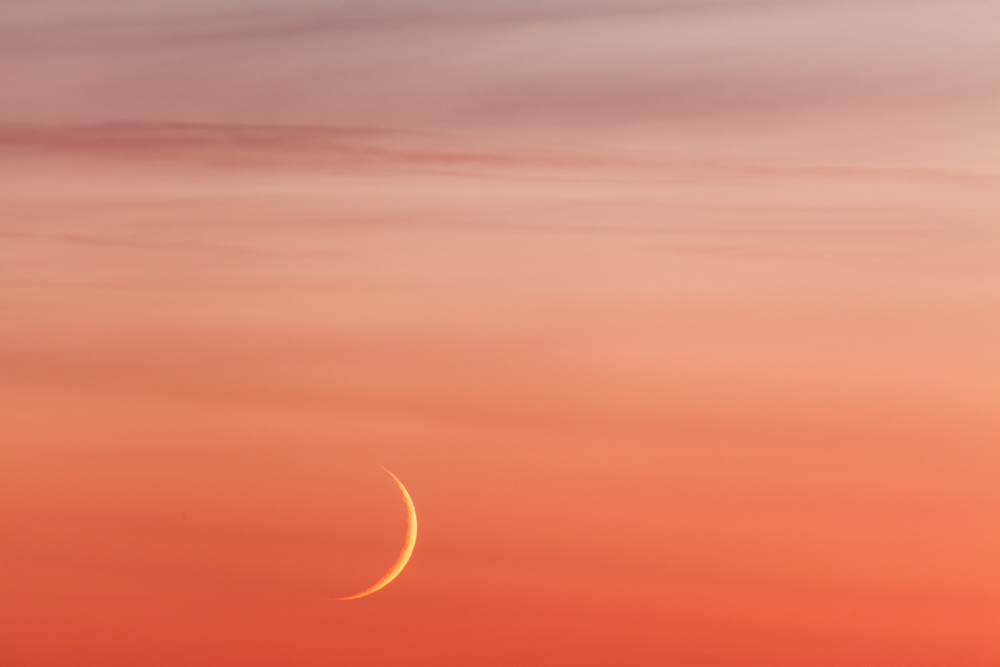 Weekly Horoscopes for Queer Women: New Moon in Cancer