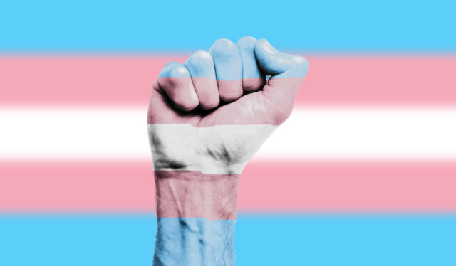 Transgender flag and fist