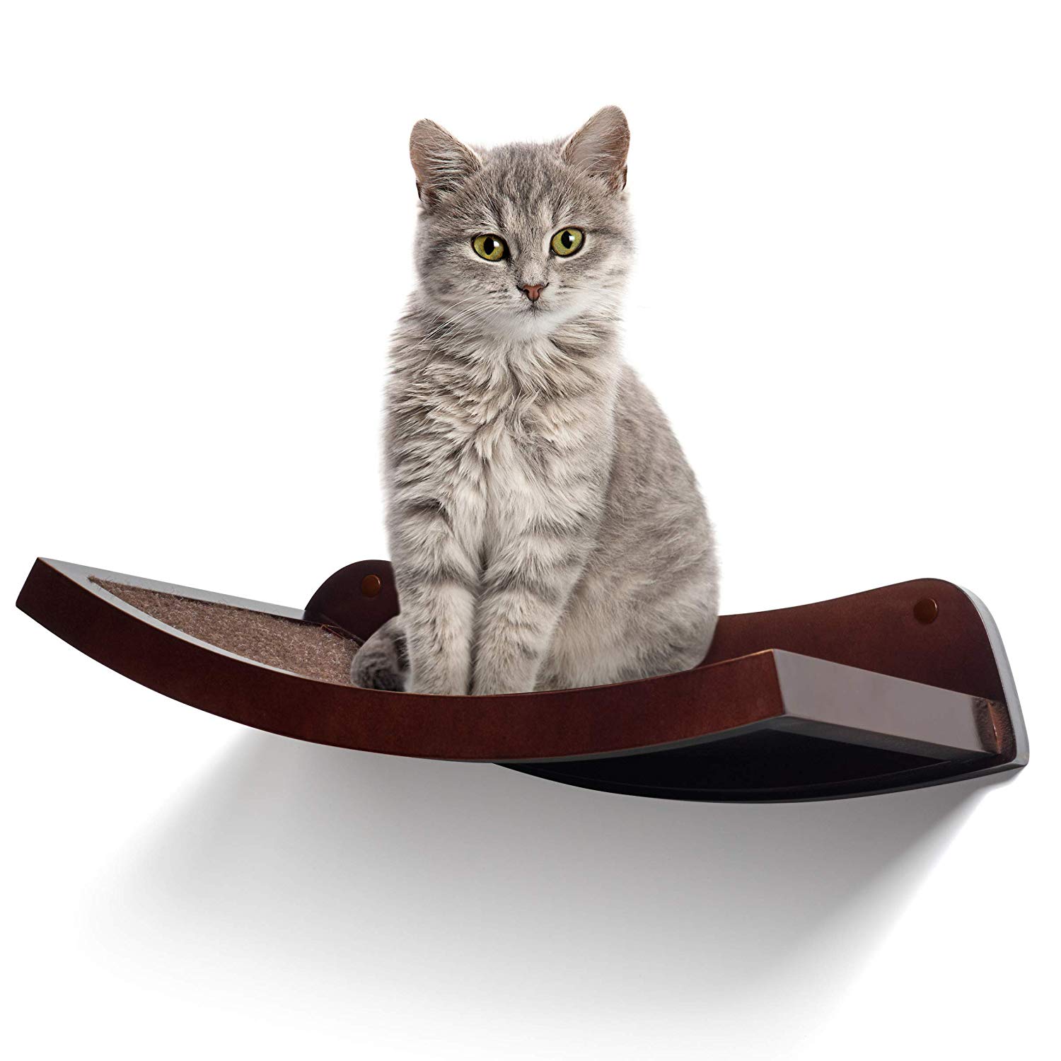 queer gift guide for cats. 
