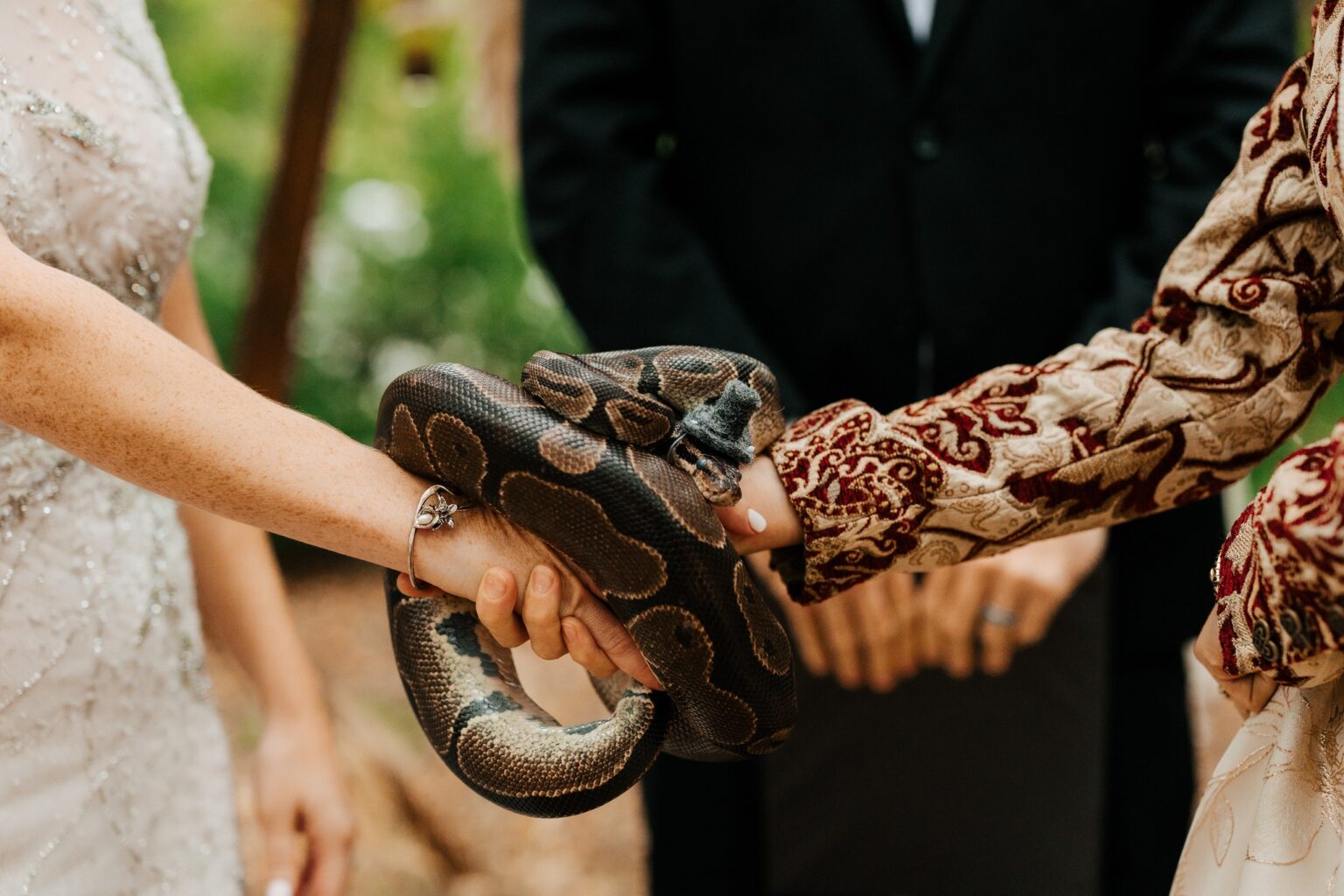 When A Snake Says Forever: Why I Used My Pet Python In My Queer Wedding ...