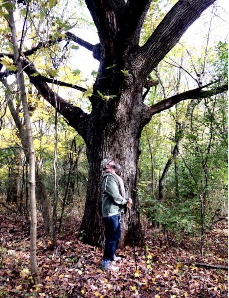 Remembering The Magnificent Life Of Trans Activist PJ Two Ravens