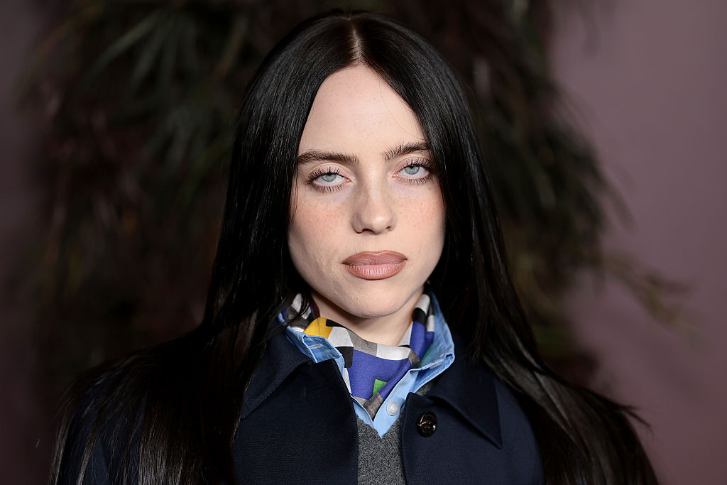 Man Who Stalked Billie Eilish Killed By Train On Long Island