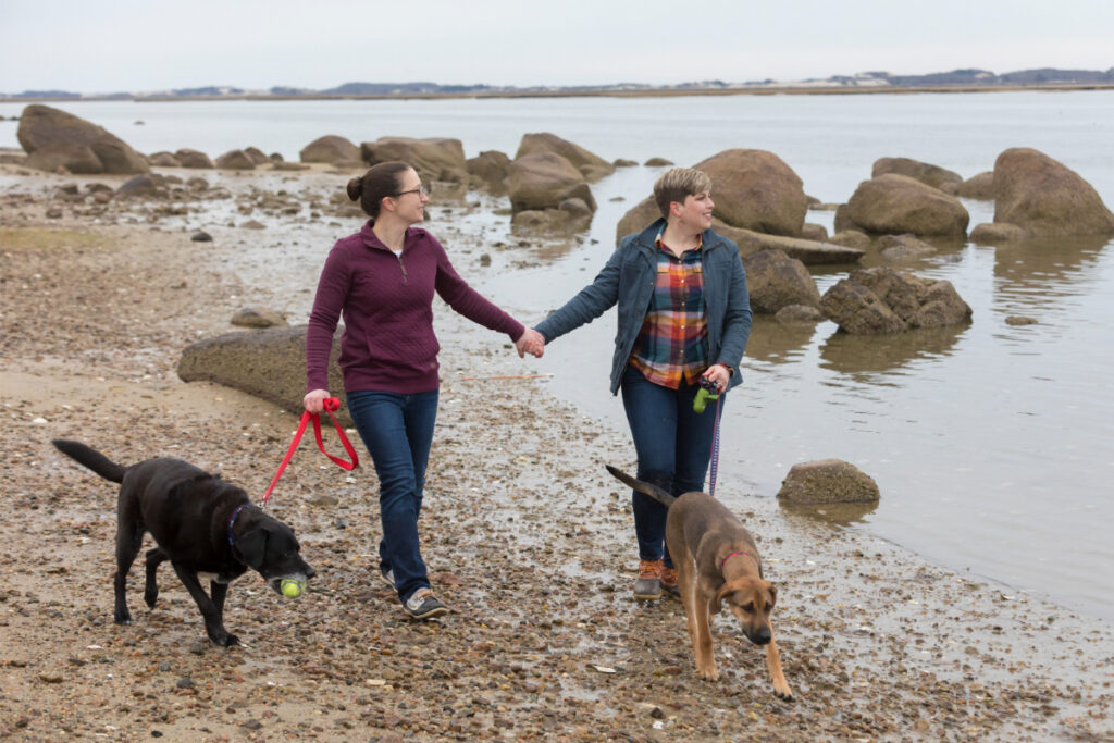 Couple holding hands walking dogs on Cape Cod beach. Photo by Cavan Images/Getty Images
